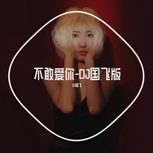 不敢爱你-DJ国飞版