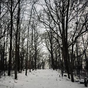 Live Plants Barely Holding On (feat. Raymond)