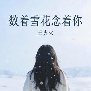 数着雪花念着你