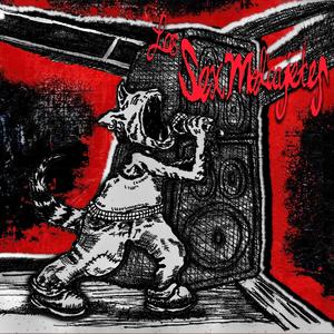 Carteras Y Celulares