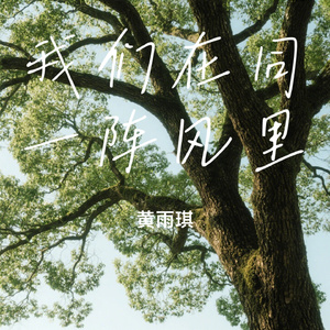 我们在同一阵风里