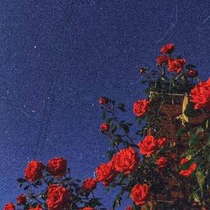 夏天的风（抖音男版）