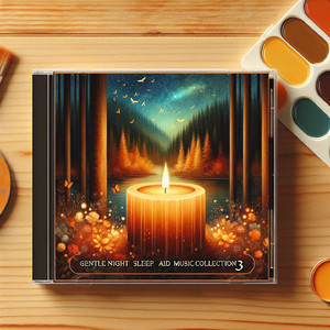 温暖的灯火 (Warm Light)