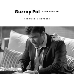 Guzray Pal (Slowed & Reverb)