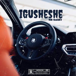 IGusheshe (Radio Edit)