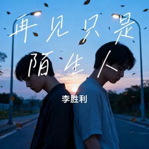 再见只是陌生人 (Cover 垮豆丁)