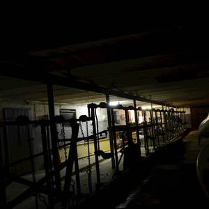 OctaBass (Live Demo)