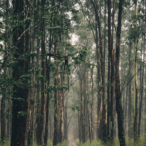 Nosso Lugar no Mundo