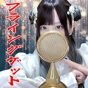 フライングゲット (cover)