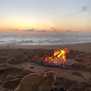 Dota x Dusk till dawn x Unity