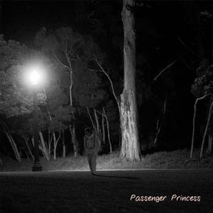 Passenger Princess