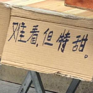 1996-∞（prod by FaunmU ）