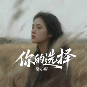 你的选择