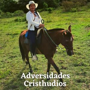 Adversidades