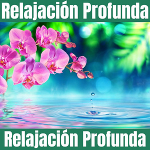 Agua - Bosque - Naturaleza