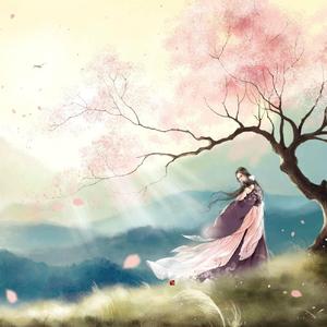 杨花落尽子规啼