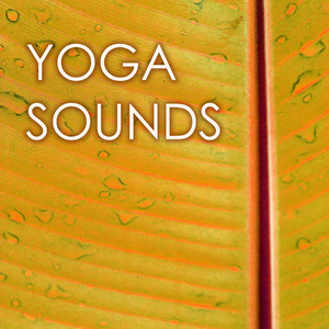 Free Meditation (Singing Bowls)