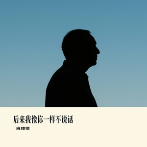 后来我像你一样不说话