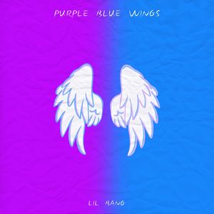 蓝紫翼天使