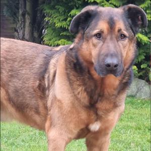 Nachricht von Sam (Radio Edit)