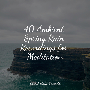 Rainy Woodland Ambience