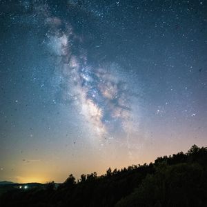 寒山幽径雪覆枝