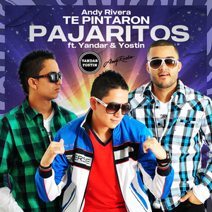 Te Pintaron Pajaritos