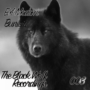 Bunier (Original Mix)