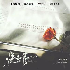 烧不尽（cover：柏鹿）