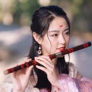 数码宝贝Butter-Fly【笛子版】