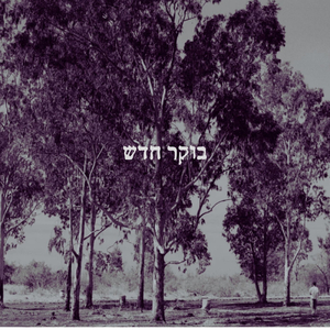 בוקר חדש