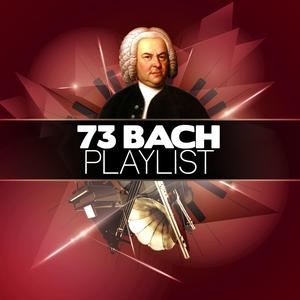 Brandenburg Concerto No. 5 in D Major, BWV 1050: I. Allegro
