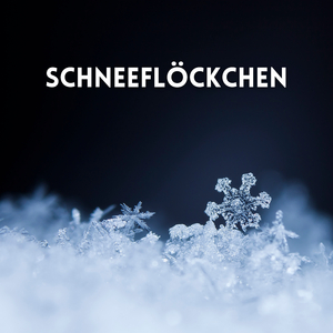 Schneefloeckchen (Snowflakes) (Christmas Piano Track,Piano Song,Christmas Songs Instrumental, German Christmas Songs, Relaxing Christmas,Classic Christmas Song)