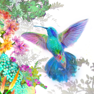 허밍버드 (Acoustic Ver.)