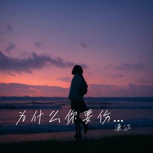 为什么你要伤害一个爱你的人 (Cover 欢子)