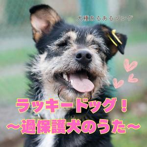 ラッキードッグ！〜過保護犬のうた〜