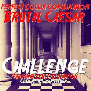 Challenge (feat. Skull Bludgeon, DJ Rob Fayder & Brutal Caesar)