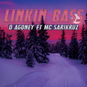 LINKIN BASS