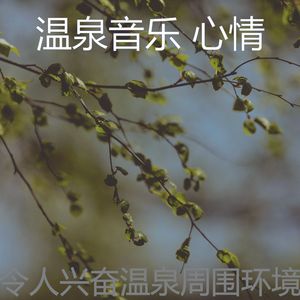 抚慰的按摩回忆