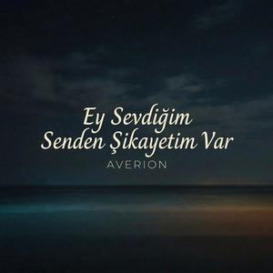 Ey Sevdiğim Sana Şikayetim Var