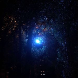 КАЖДЫЙ ДЕНЬ