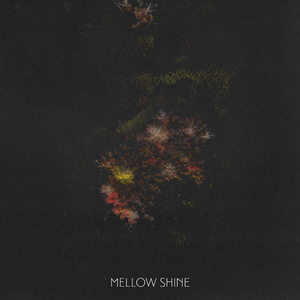 Mellow Shine