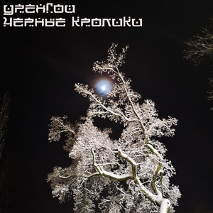 Черные кролики