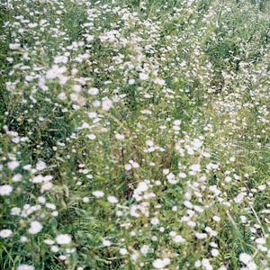 잊어야 할 일은 잊어요