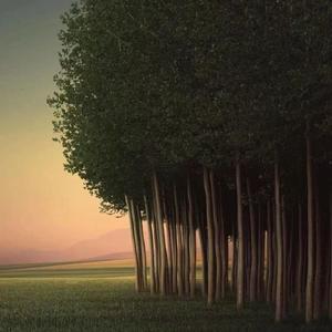 那天的雨我陪你一起听（钢琴曲）