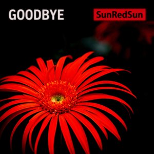 Goodbye