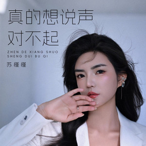 真的想说声对不起