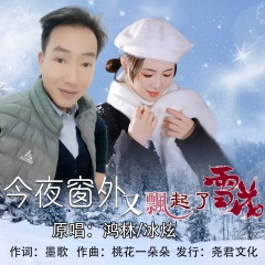 今夜窗外又飘起了雪花 (对唱)