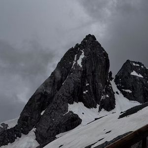 萤火与星河的约定