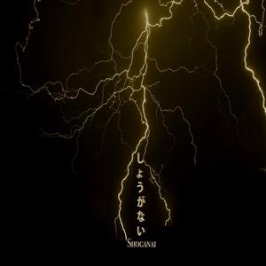 Shoganai (feat. Ludia Venus & Olandese Volante)